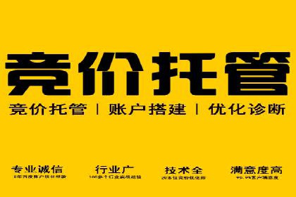 SEM服务助力中小企业案例分析